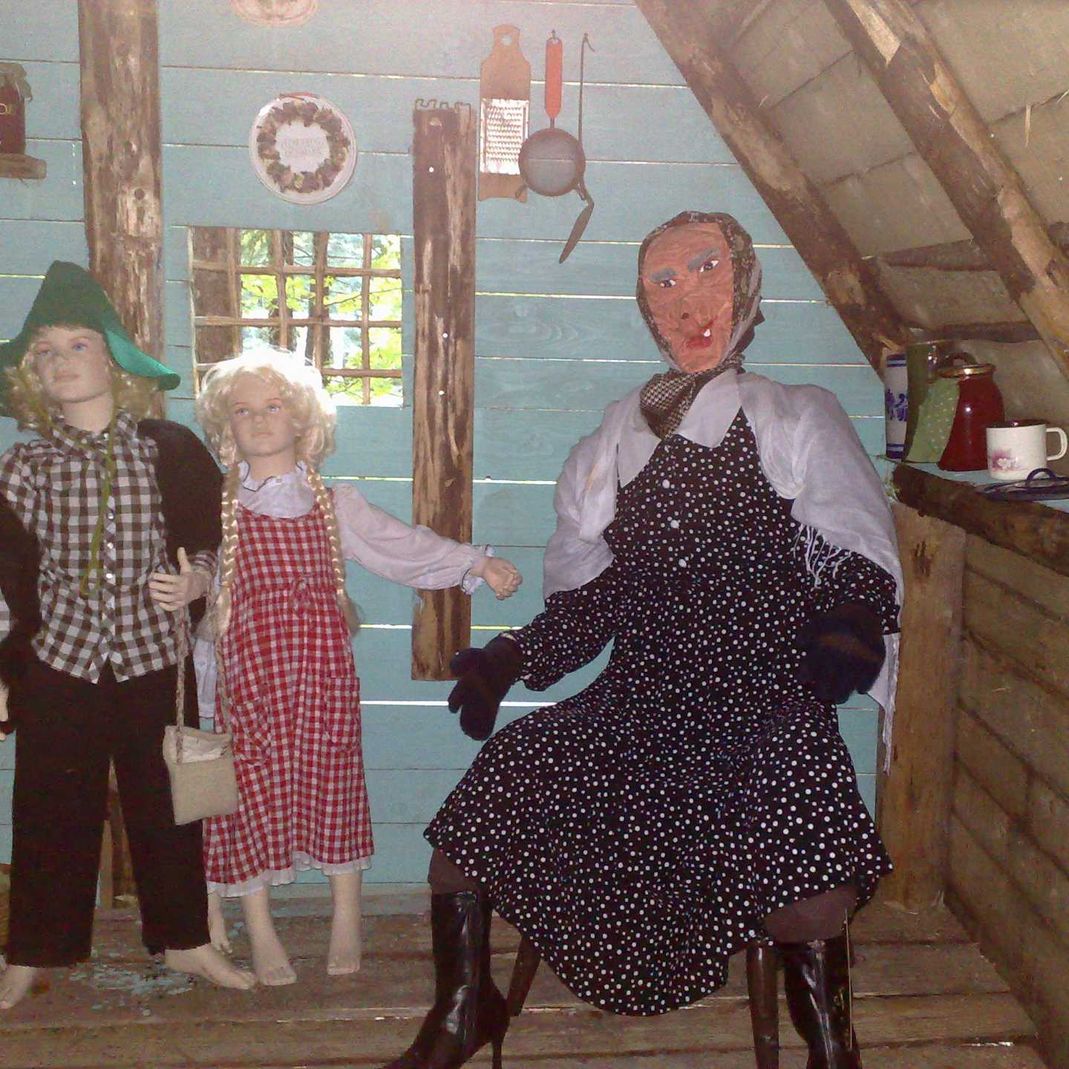 Pravljični gozd